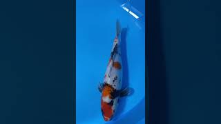IMG 0858 2