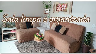 Comprei uma planta nova limpei a sala