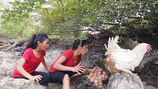 Wow! meet Chickens lay many eggs in forest - Cooking Chicken egg with small green mango for dinner