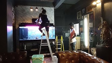 Pete บางแค - งาน Overflow Full Services ตู้ปลา 72 30 30 เลี้ยงรวมปลามังกร (กรองลูกเต๋านิศาชล) Set 2