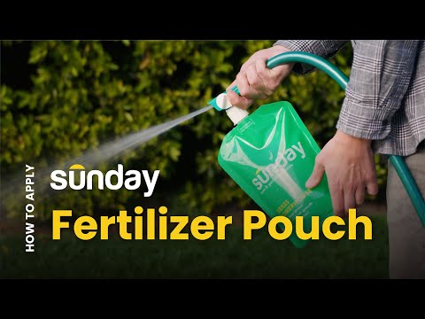 How To Apply Sunday Lawn Fertilizer
