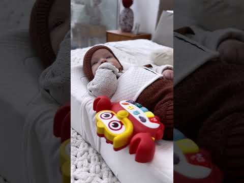 Краб Казкар TK Group 31997, видео 1