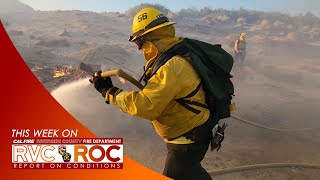 Vegetation Fire in Jurupa Valley // Report on Conditions // June 22, 2022