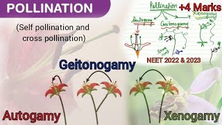 Autogamy, Geitonogamy and Xenogamy|Best way to understand different types of pollination| #NEET #bio