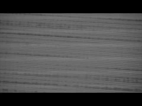 Spiritbox — Everything's Eventual *OFFICIAL*