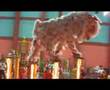 BEST LION DANCE TRICK! KSK- SUPERMAN! MALAYSIA