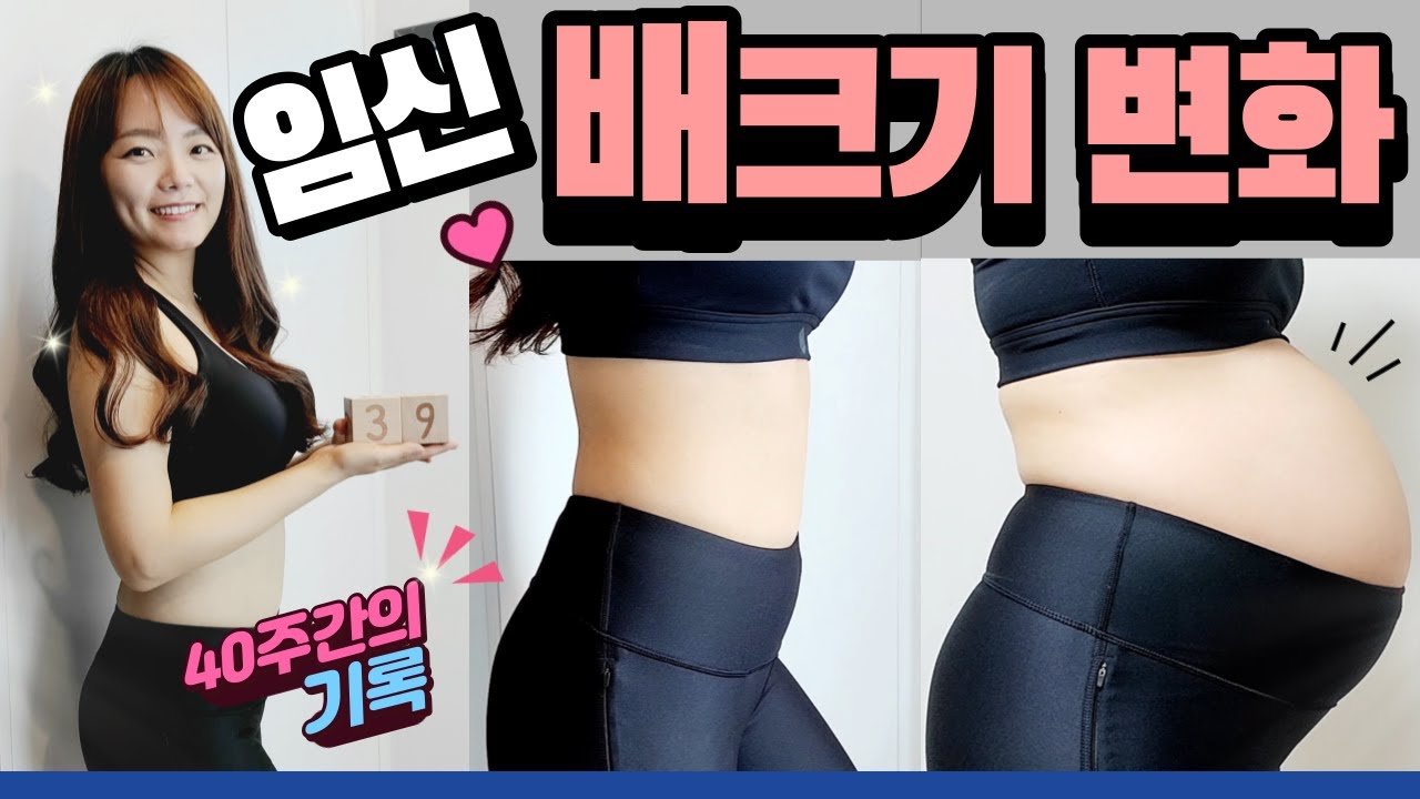임신 배크기 변화 pregnant belly growing : 임신 주수별 배크기 브이로그