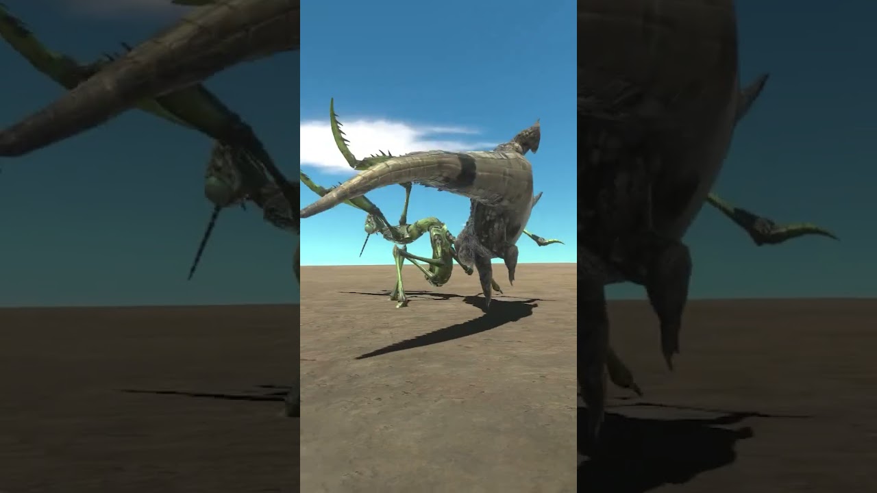 Biggest Praying Mantis vs Purussaurus