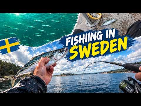 First time Fishing in Sweden! Sea fishing - YouTube