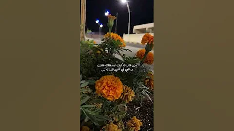 راشد الماجد من غلاتك كيف اوصفلك غلاك 