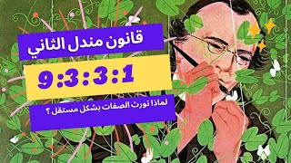 الوراثة المندلية ( قانون مندل الثاني )