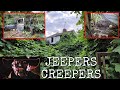This abandoned house is so scary it's know by locals as jeepers creepers and has a car graveyard