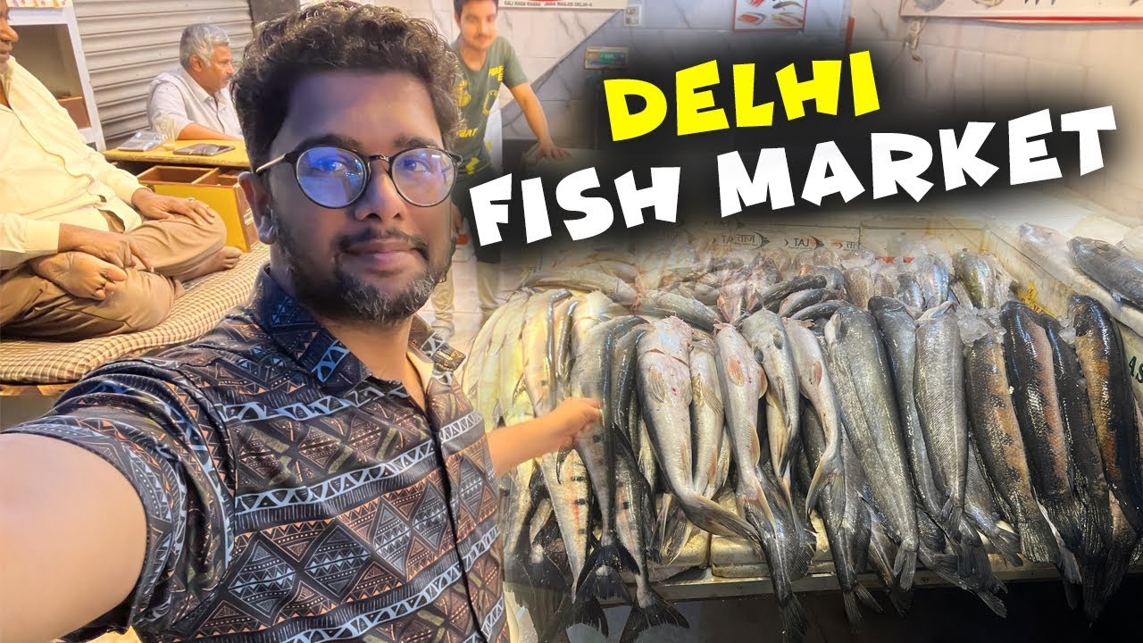 Delhi ல இந்த மீன் தான் அதிகமாக கிடைக்கும் Delhi Fish Market Sulai