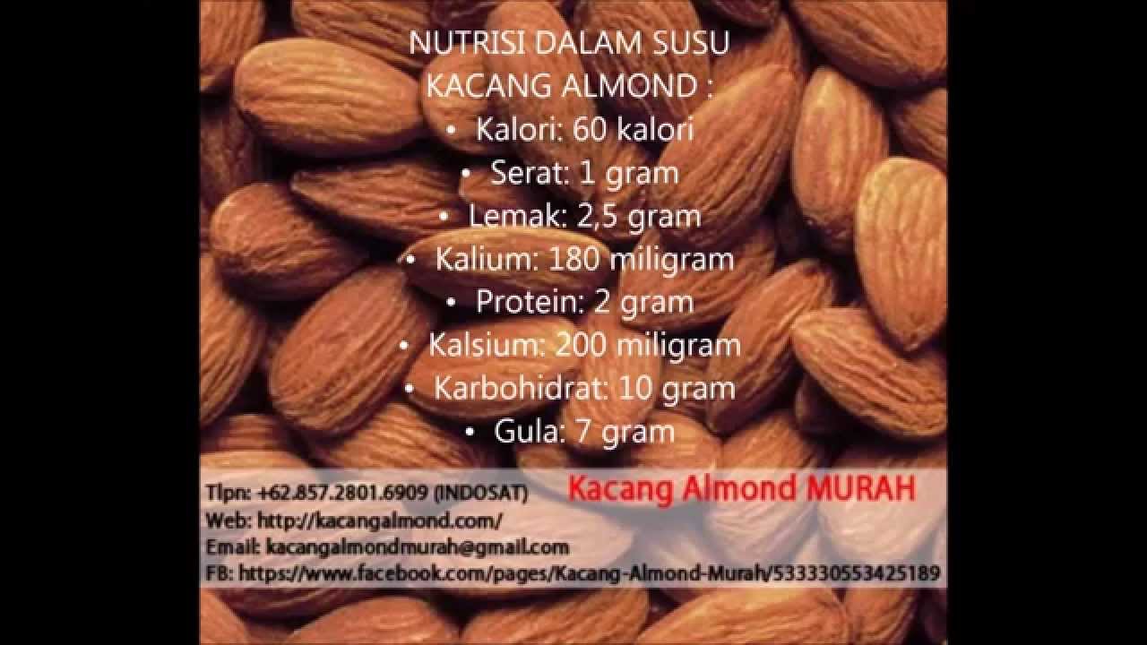 khasiat kacang almond, manfaat kacang almond, beli kacang