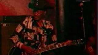 Joe Louis Walker & Gatemouth Brown-live