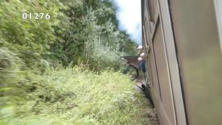 Deltic Thrash - 55019