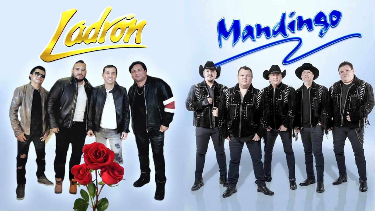 Grupo Mandingo y Grupo Ladrón ~ Éxitos Inolvidables🔥💌