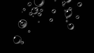 Spongebob Squarepants - Season 1-Season 8 Bubble Wipe 43