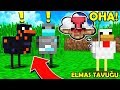 BÜYÜLÜ TAVUKLAR !! ELMAS YUMURTLAYAN TAVUK 🐓 ZENGİN VS FAKİR ÖRÜMCEK ADAM (Minecraft)