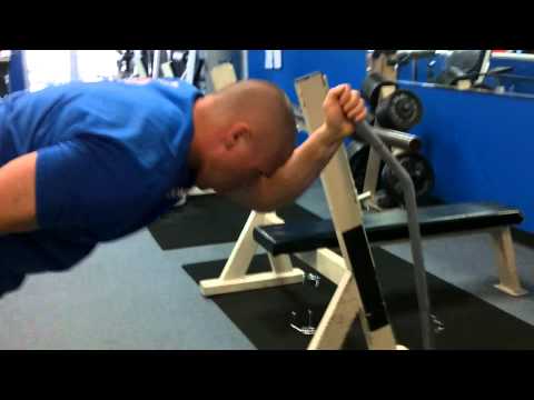 Reverse Hamstring Curls Quick Tip