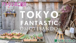 【Dry Flowers】ドライフラワー　アトリエのご紹介～TOKYO FANTASTIC