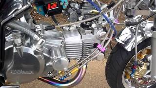 モンキー　デイトナＤＯＨＣ　106　ＴＤＭＲ32　17000　monkey