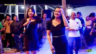 Download Lagu BODY KEMECELL! AYU ROSALIA Ft YOGI ANGGITA - KALAH WETON - DELTA REBORN 2025 MP3