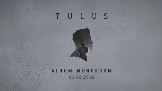 Tulus - Monokrom ( Cover Bahasa Isyarat)