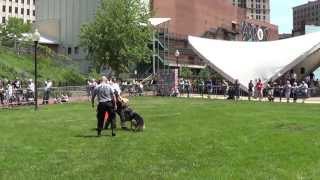 Akron Police - 3rd Annual K9 Challenge - Primo