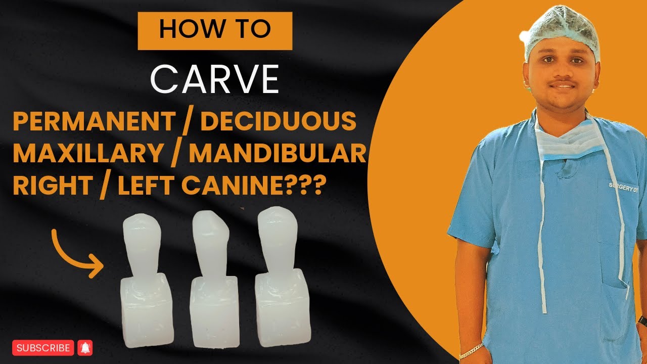 carving-permanent-or-deciduous-maxillary-or-mandibular-right-or-left
