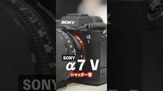 【ソニー】α7 V シャッター音｜ 高機能を詰め込んだベーシック機 #sony #カメラ #ミラーレス