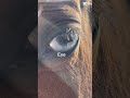 My horsey