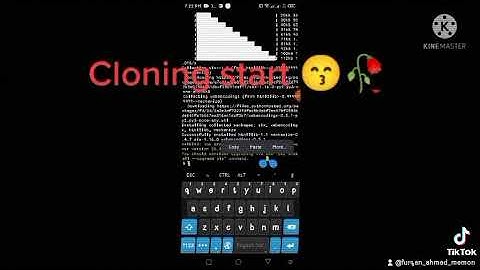 Turmex fast cloning commands 2022