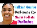 Durbumma Koo Narraa Fudhatuu Dadhabee