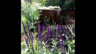 A glimpse into the SubAqua Show Garden with David Hurrion