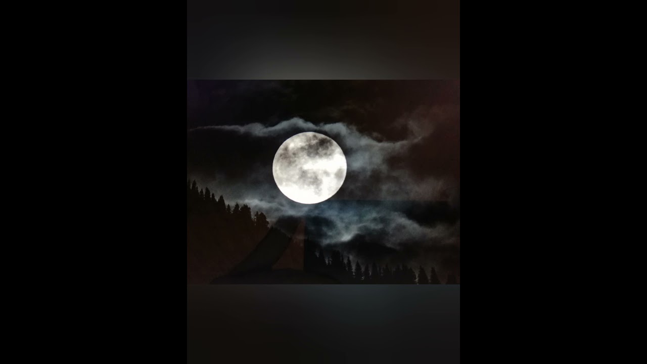 Matthias Reim - Eiskalt, Coverversion, eigene Songaufnahme, Schlagerlegende