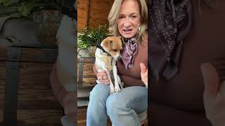 Tulip's Favorite New Pet Gadget This Month screenshot 5