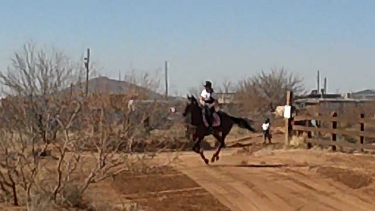 Las Cruces Horse Trials Spring 2012 XC Final Gallop YouTube
