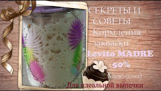 Правильное и понятное кормление закваски LEVITO MADRE (50% влажности) для идеальной выпечки