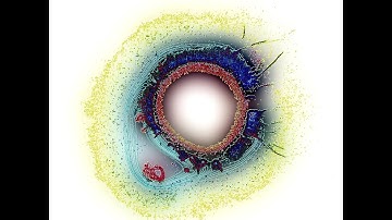 Color Coronal Spectral Analysis Prof.Ignatov Mrs.Lieselotte Eder 3D Imaging Dr.Kostova