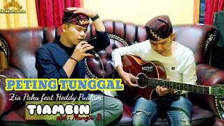 GITAR TUNGGAL / TIAMBIN / cipt : Munzir.B / Zia Paku feat Heddy Pualam