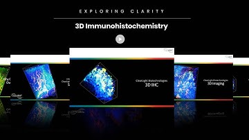 3D Immunohistochemistry