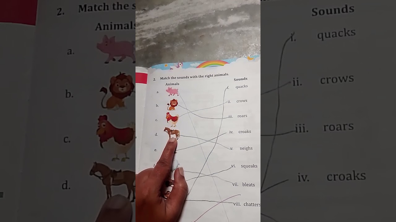 Animal Sounds/animal Sounds