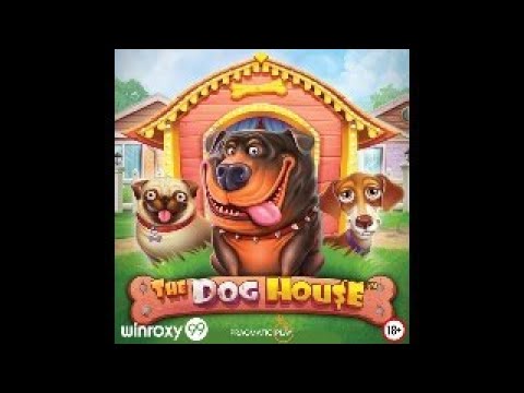 Дикий занос в The Dog House