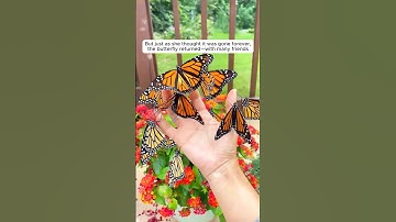 A kind-hearted girl rescued a butterfly trapped in her car light