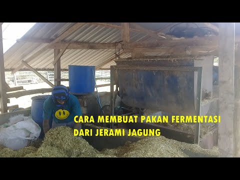 Video: Chopper Untuk Traktor Berjalan Kaki: Ciri Pencincang Kayu Taman Yang Dipasang. Lampiran Untuk Mencincang Batang Jerami, Jerami Dan Jagung