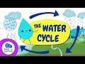 The Amazing Journey Of Water In The Water Cycle