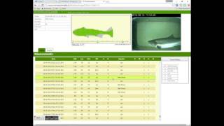 Riverwatcher Daily