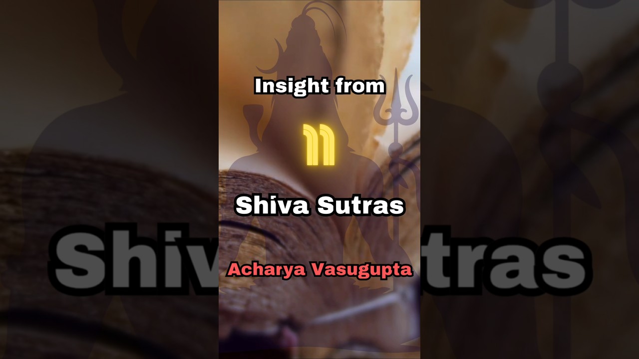 Shiva Sutras- Insight 11