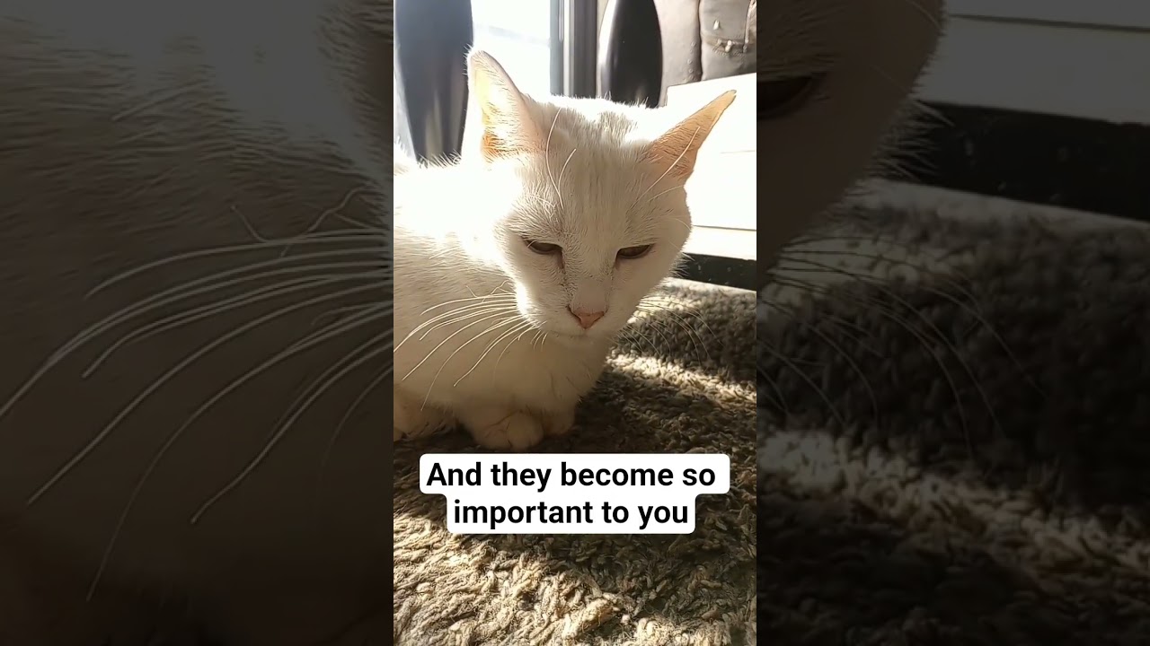 And then one day 💚